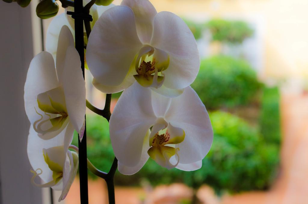 Appartement Apartamento Blanco Calle Pureza
